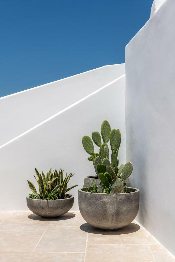 Отель Avra Mykonos Тоурлос Экстерьер фото